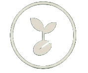 The Seed Logo